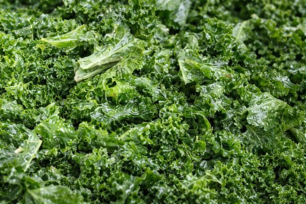 Massaged Kale Salad with Glazed Chicken